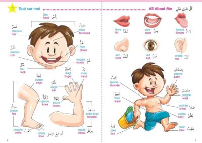 أعضاء الجسم