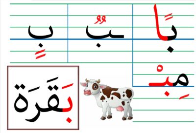 مقاسات الحروف العربية و مختلف كتاباتها داخل الكلمة