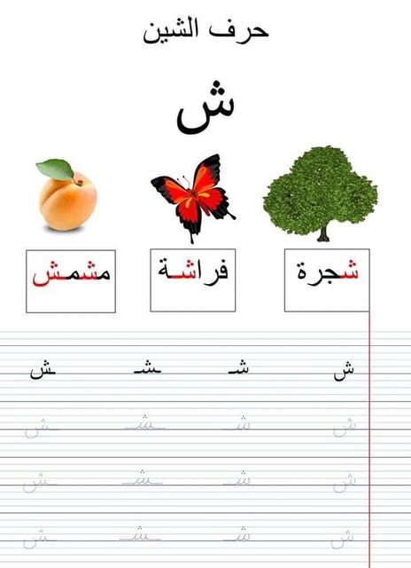 التدرب على كتابة الحروف - Arabic Share